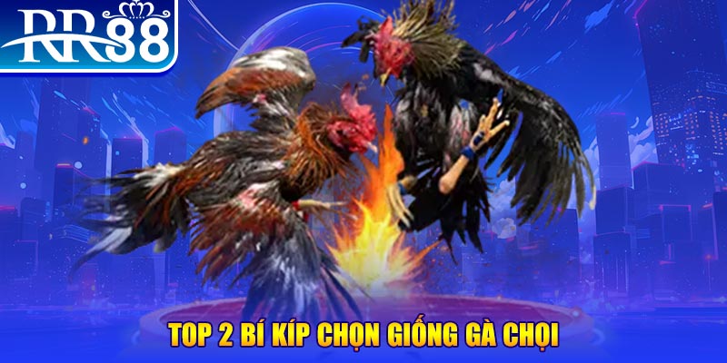 go789 đăng nhập roulette dễ thắng