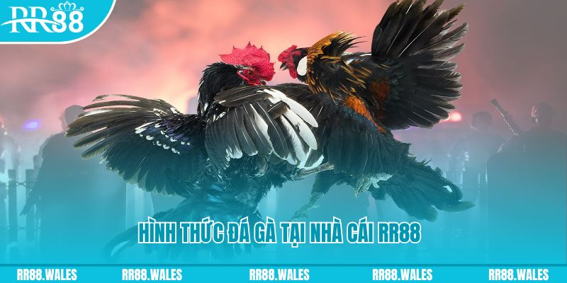 go789 xin 1 slot là gì