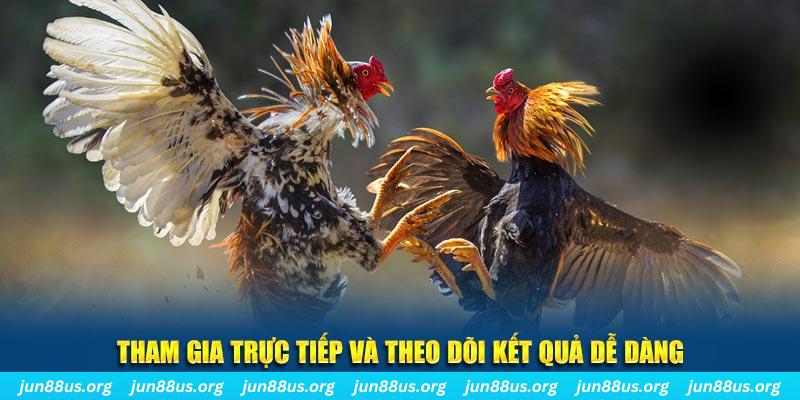 go789 đá gà trực tiếp bình luận viên