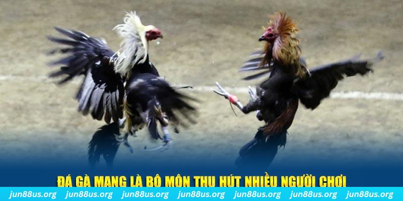 go789 xổ số cà mau