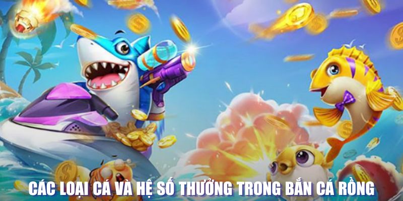 go789 loi game dot kich ket noi may chu that bai