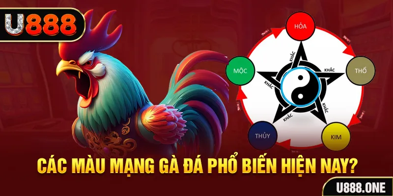 go789 đăng nhập mậu binh