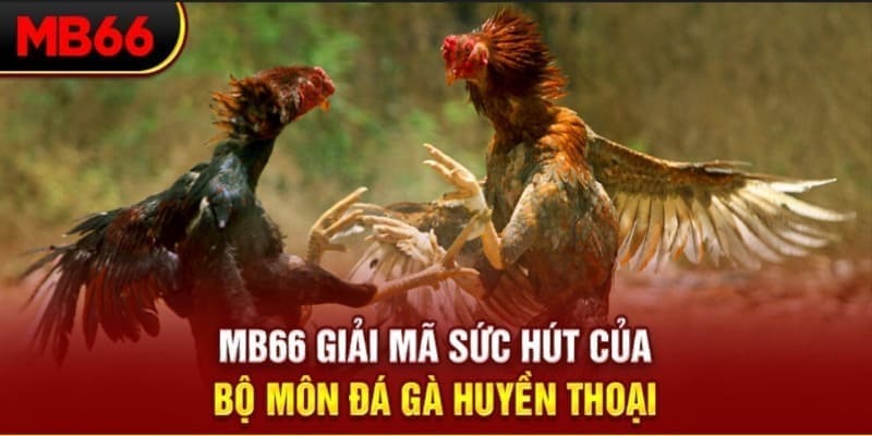 go789 Phi Đội Ưu Tú