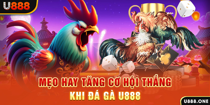 go789 trực tiếp gà chọi c1