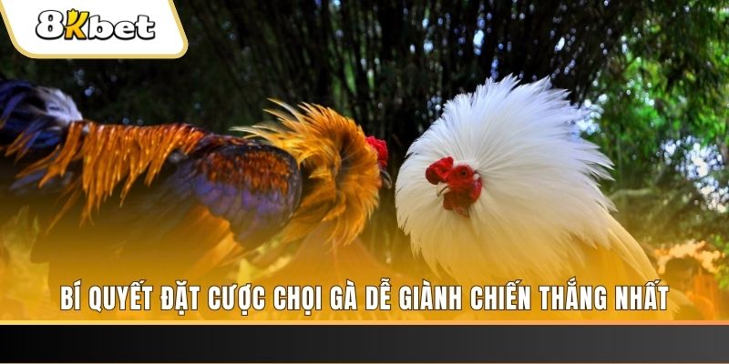 go789 Tài Xỉu 2