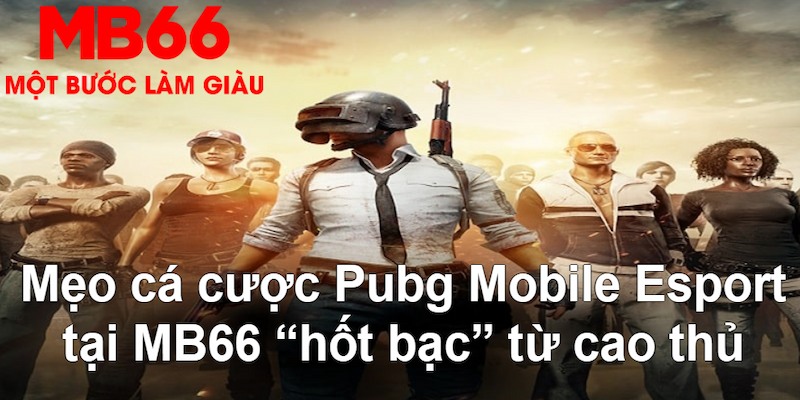 go789 gà chọi mộc hóa