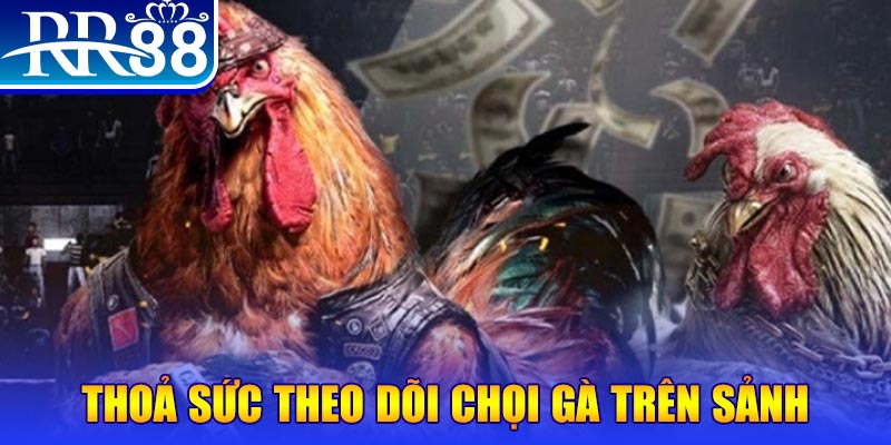 go789 đá gà 88.com